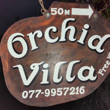 Orchid Villa #10 希克杜沃 外观 照片