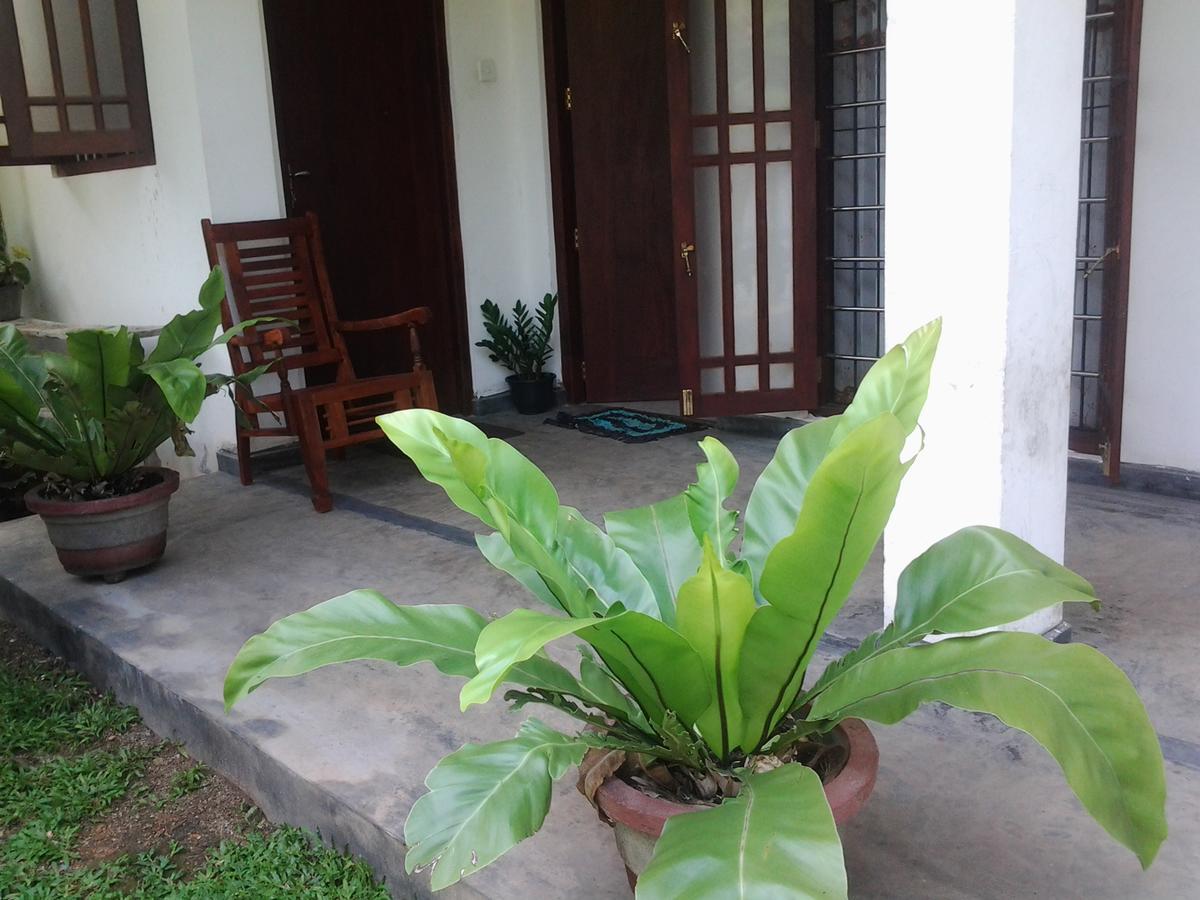 Orchid Villa #10 希克杜沃 外观 照片