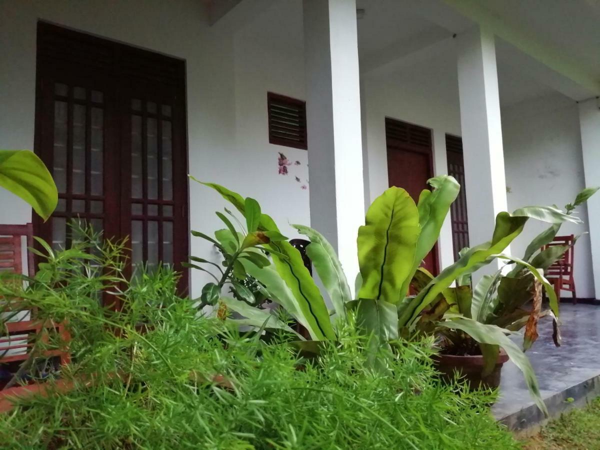 Orchid Villa #10 希克杜沃 外观 照片