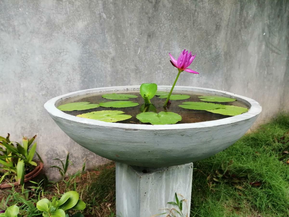 Orchid Villa #10 希克杜沃 外观 照片