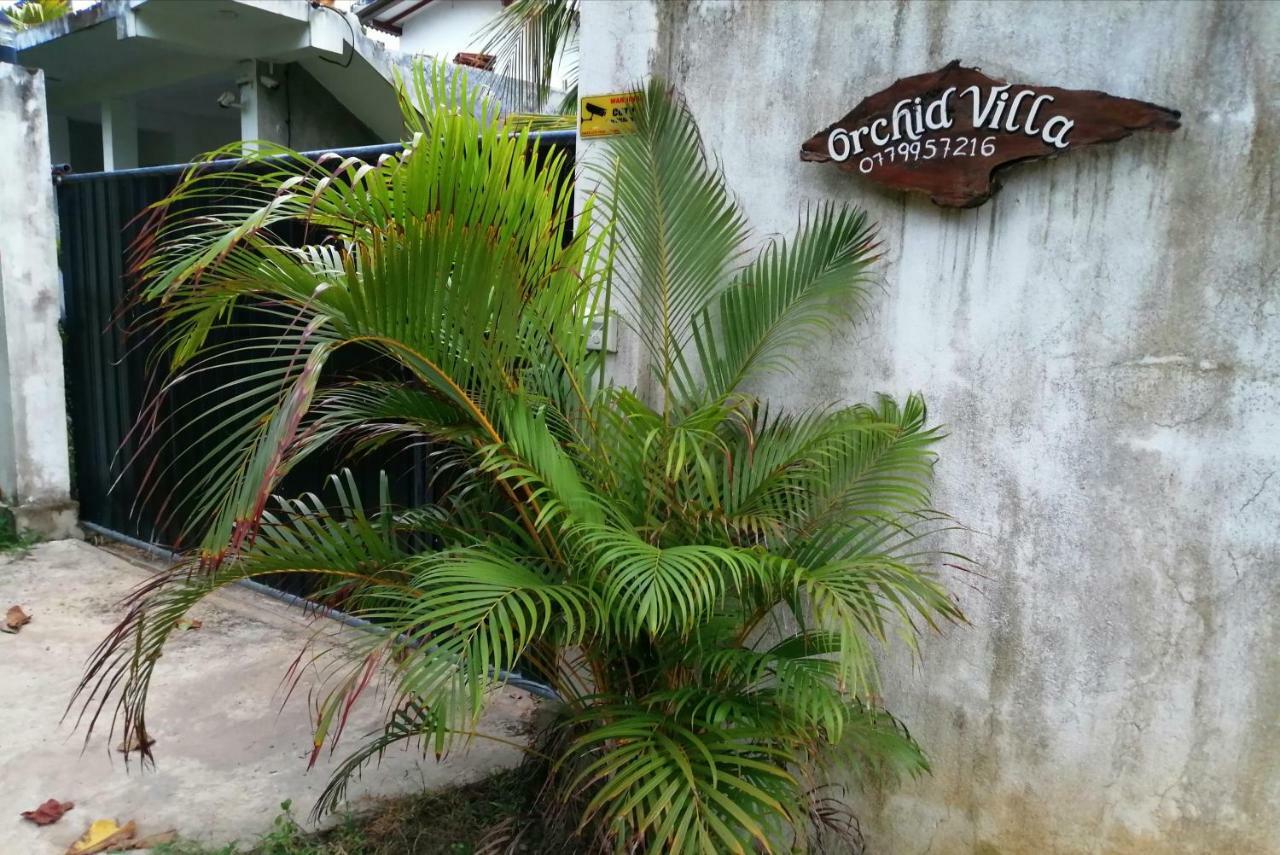 Orchid Villa #10 希克杜沃 外观 照片