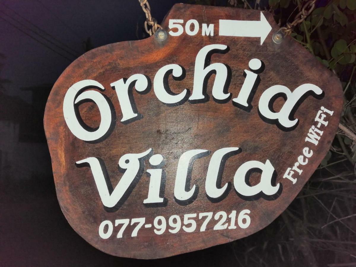 Orchid Villa #10 希克杜沃 外观 照片